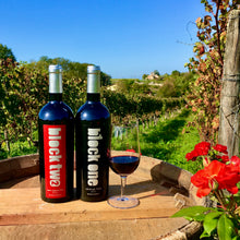 Load image into Gallery viewer, Barrique Club - New Member carton