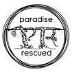 Paradise Rescued brand logo